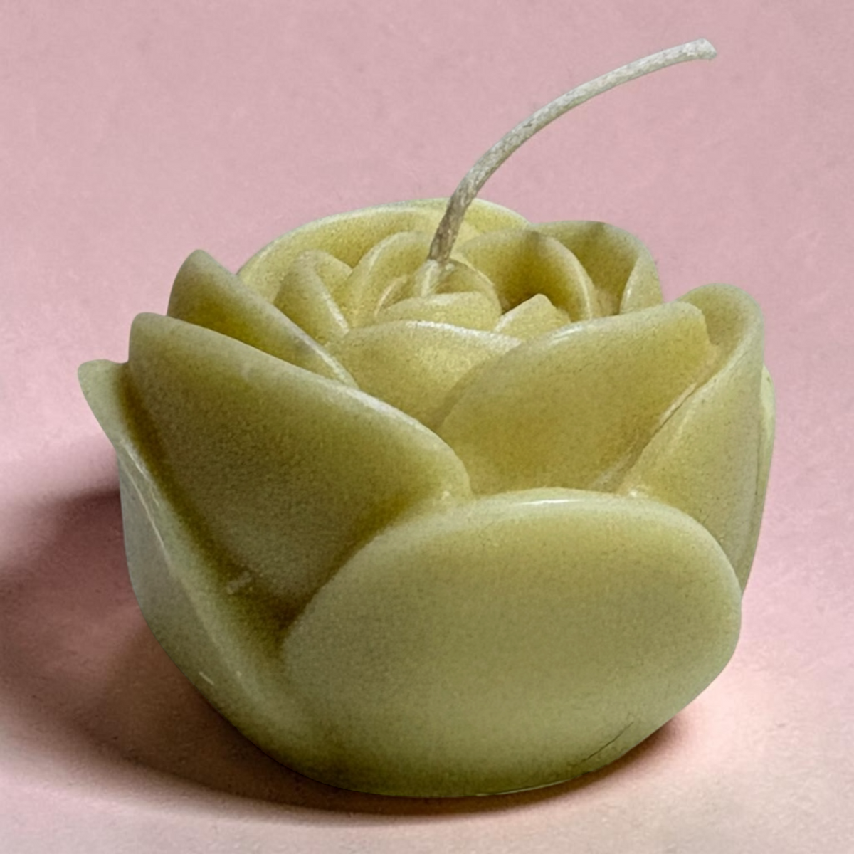 Rosa chica