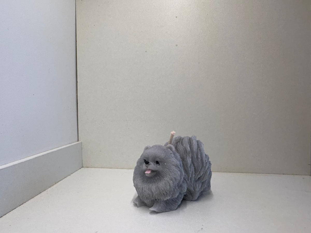 Pomerania
