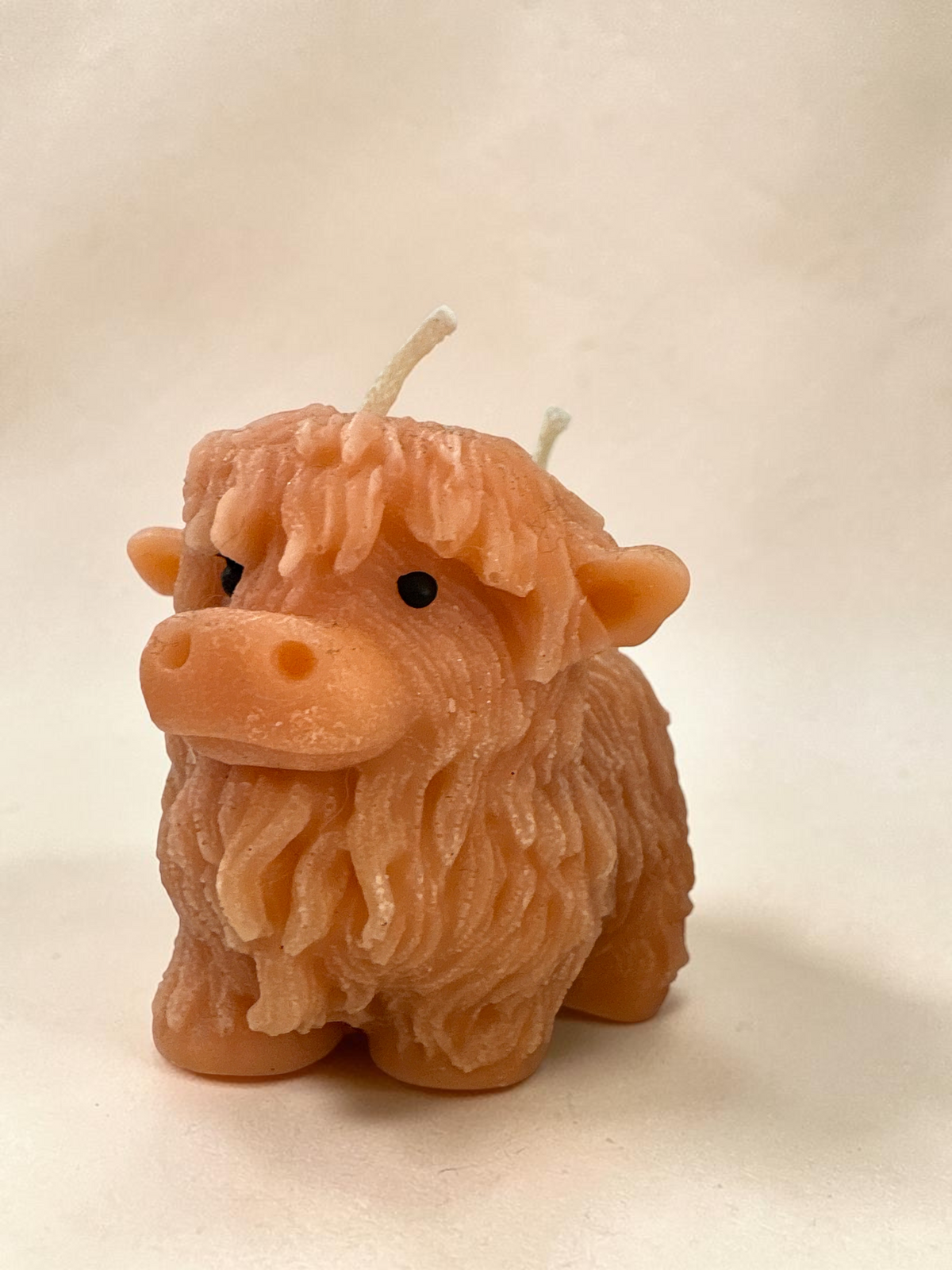 Vaca