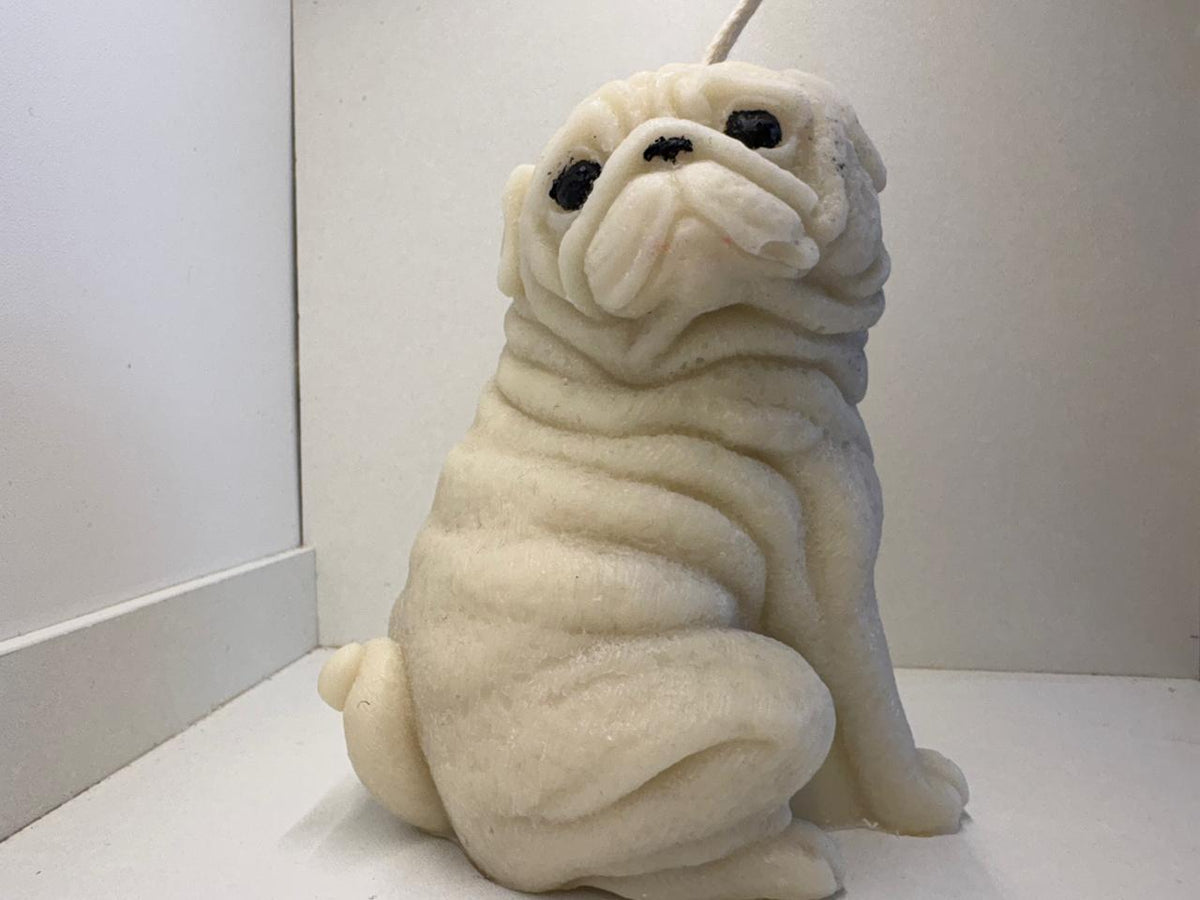Pug grande