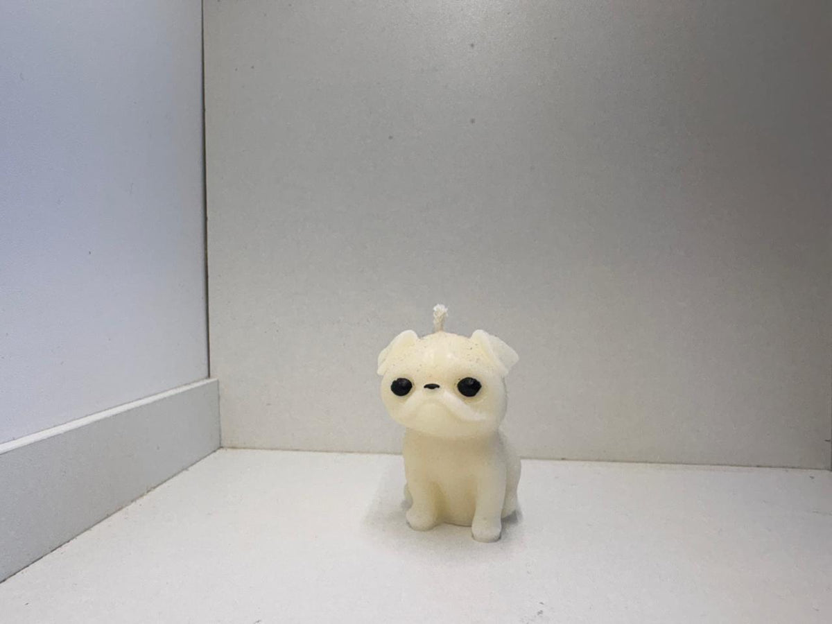 Pug