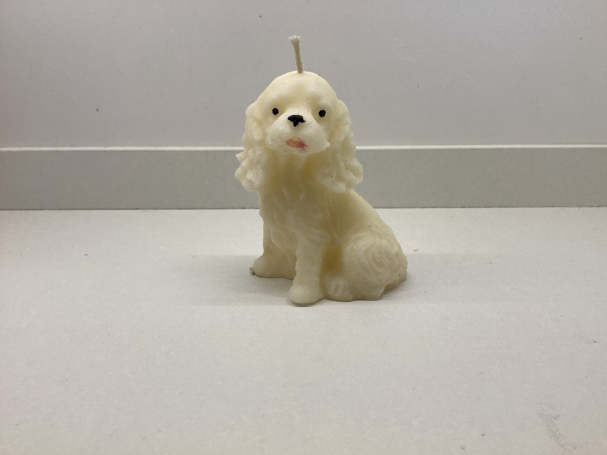 Cocker Spaniel