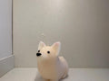 Corgi