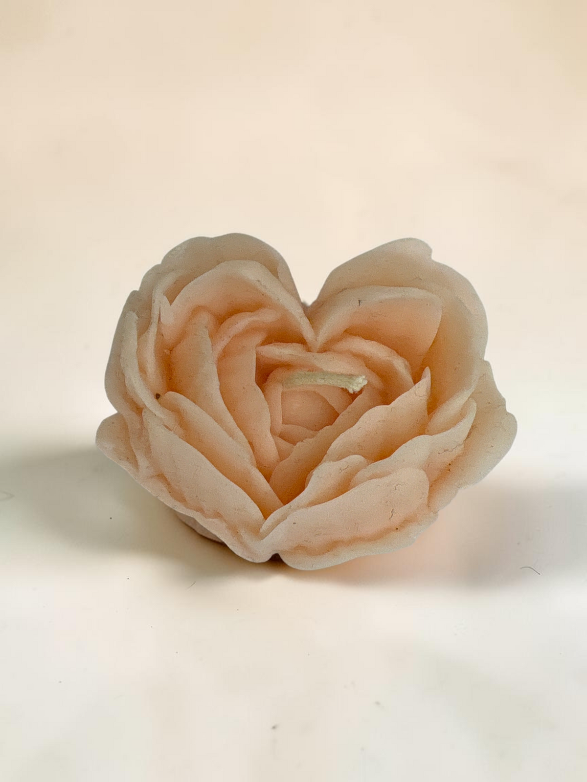 Rosa de corazón