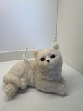 Gato